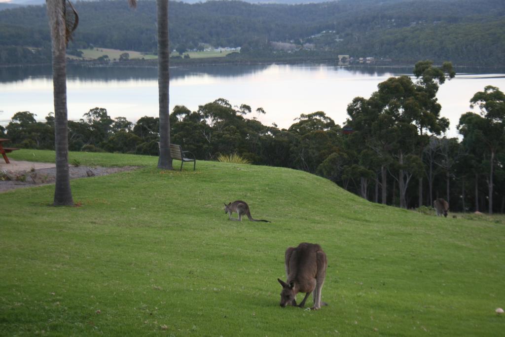 Norfolk Pines Motel Merimbula Kültér fotó